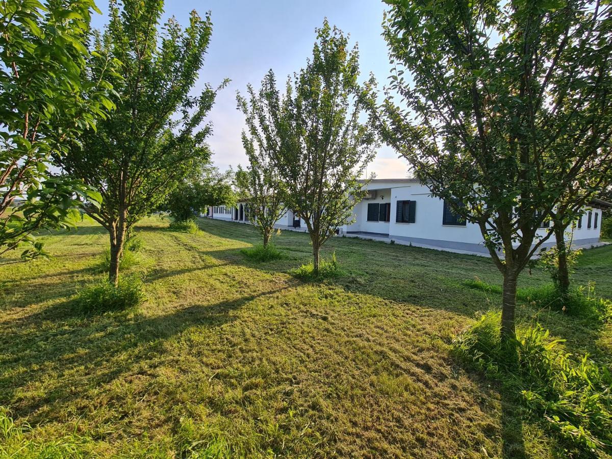 Agriturismo Ca Novak Venezia Villa Spinea Bagian luar foto