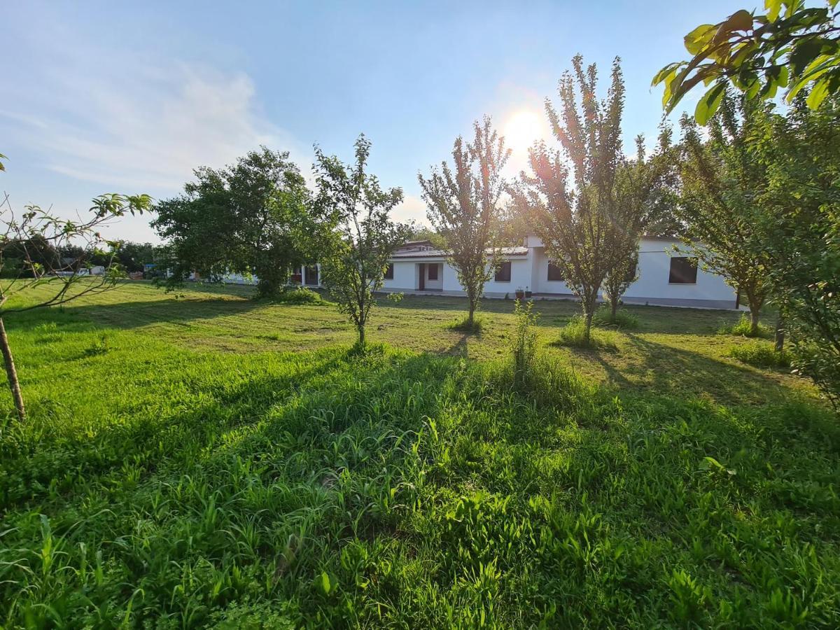 Agriturismo Ca Novak Venezia Villa Spinea Bagian luar foto